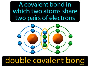 a covalent bond in which two atoms share two pairs of electrons