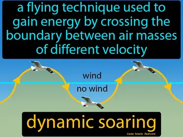 A flying technique used to gain energy by crossing the boundary between air masses of different velocity