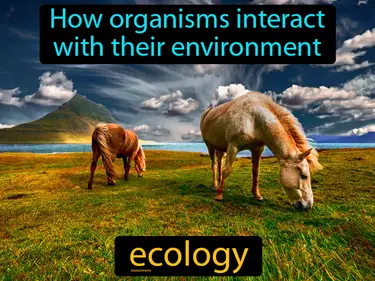Ecology and the Biosphere
