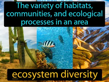 the variety of habitats, communities, and ecological processes in an area
