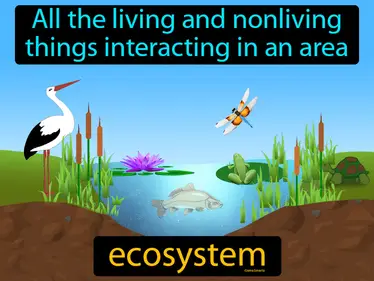 Competition in Ecosystems MS-LS2-1