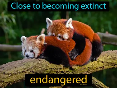close to becoming extinct