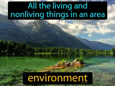 Ecosystems and Interactions of Living Things