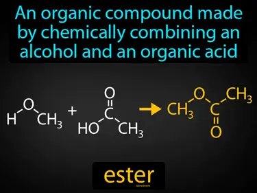 an organic compound made by chemically combining an alcohol and an organic acid