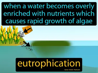 When a water becomes overly enriched with nutrients which causes rapid growth of algae