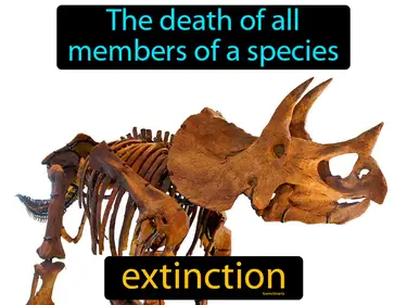 the death of all members of a species