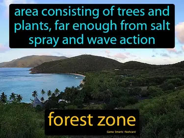 Area consisting of trees and plants, far enough from salt spray and wave action