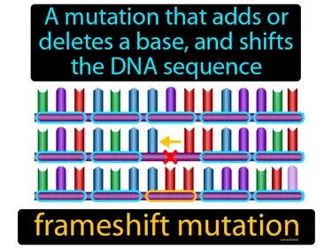 a mutation that adds or deletes a base, and shifts the DNA sequence