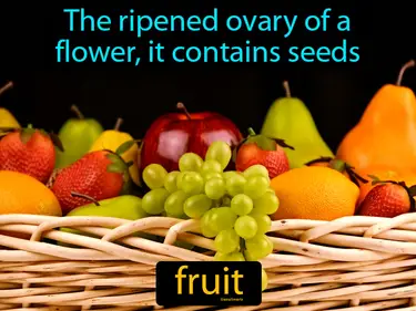 the ripened ovary of a flower, it contains seeds