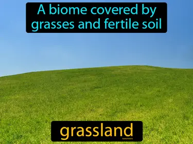 a biome covered by grasses and fertile soil