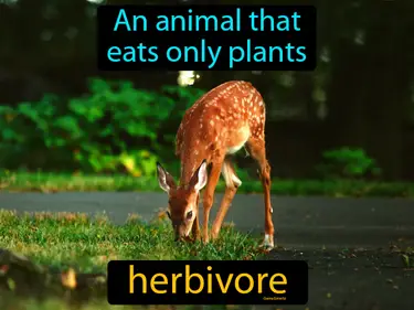 an animal that eats only plants