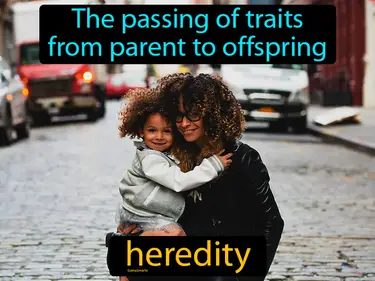 Genetics and DNA