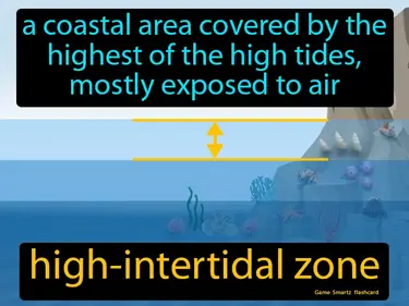 A coastal area covered by the highest of the high tides, mostly exposed to air
