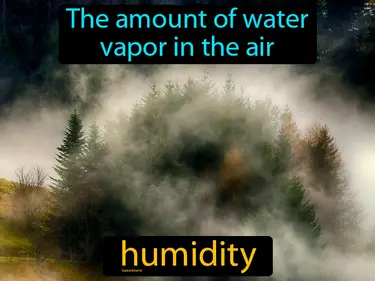 the amount of water vapor in the air