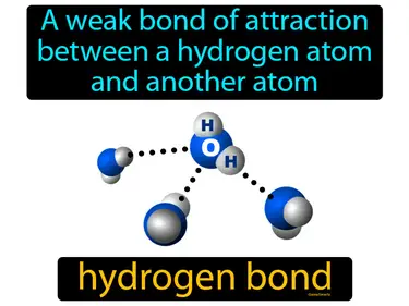 a weak bond of attraction between a hydrogen atom and another atom