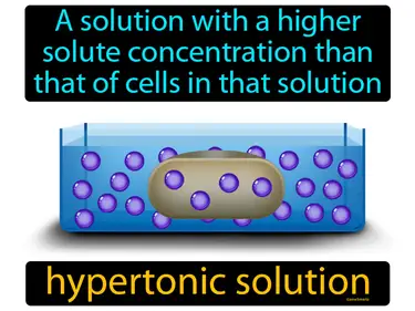 a solution with a higher solute concentration than that of cells in that solution