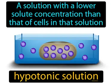 a solution with a lower solute concentration than that of cells in that solution