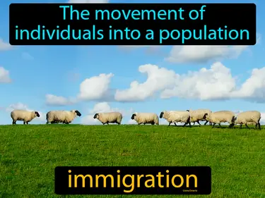 the movement of individuals into a population