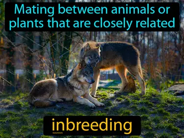 Genetic Technology and Engineering