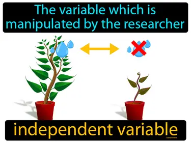 the variable which is manipulated by the researcher