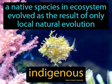 A native species in ecosystem evolved as the result of only local natural evolution
