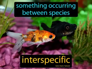 Something occurring between species