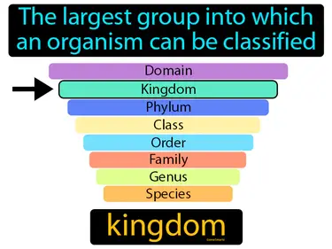 Classifying Living Things