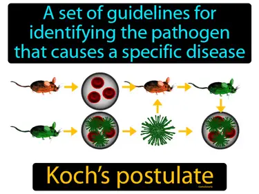 a set of guidelines for identifying the pathogen that causes a specific disease
