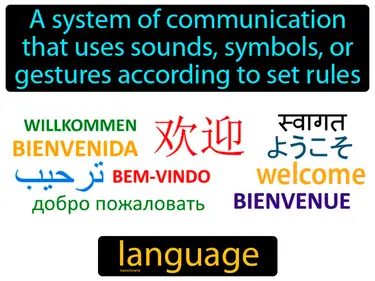 a system of communication that uses sounds, symbols, or gestures according to set rules