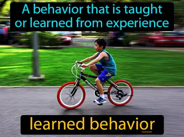 a behavior that is learned from experience