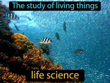 the study of living things