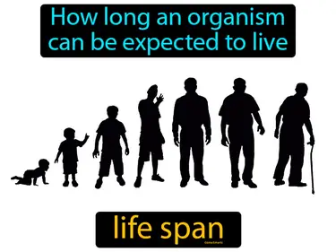 how long an organism can be expected to live
