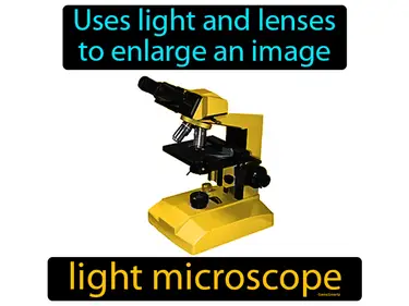 uses light and lenses to enlarge an image