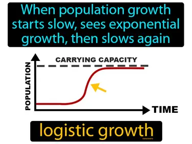 when population growth starts slow, then sees exponential growth, then slows again