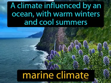 a climate influenced by an ocean, with warm winters and cool summers