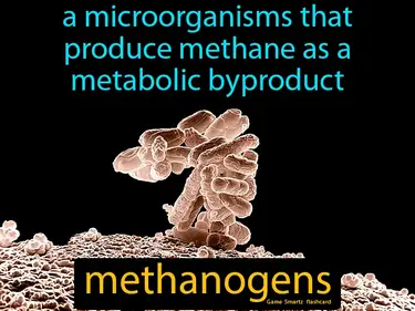 A microorganisms that produce methane as a metabolic byproduct