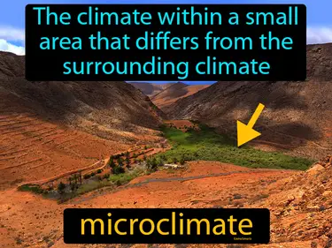 the climate within a small area that differs from the surrounding climate