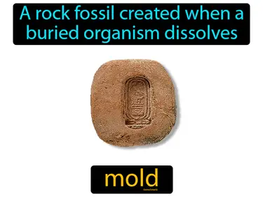 a rock fossil created when a buried organism dissolves