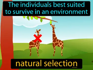 Natural Selection MS-LS4-4