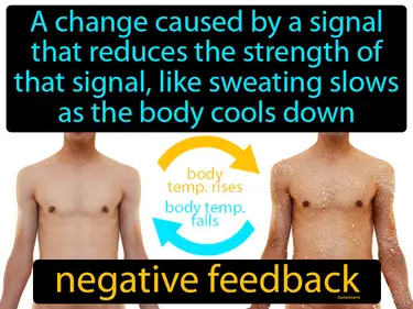 a change caused by a signal that reduces the strength of that signal, like sweating slows as the body cools down