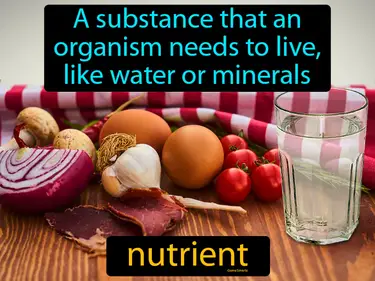 a substance that an organism needs to live, like water or minerals