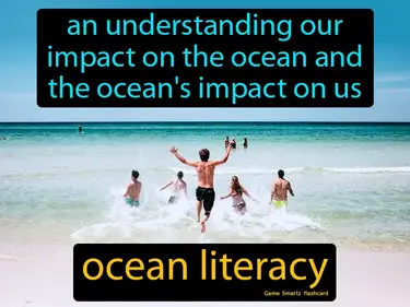 Protecting Marine Habitats