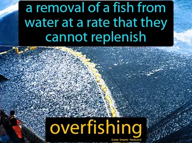 The removal of a fish from water at a rate that they cannot replenish