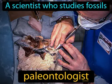 a scientist who studies fossils