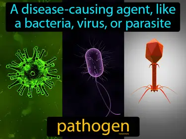 Disease