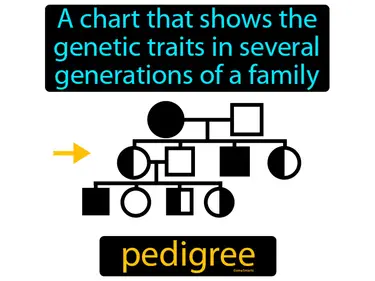 a chart that shows the genetic traits in several generations of a family