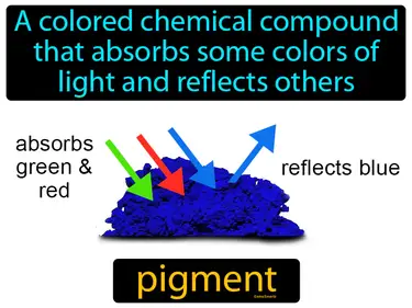 A colored chemical compound that absorbs some colors of light and reflects others