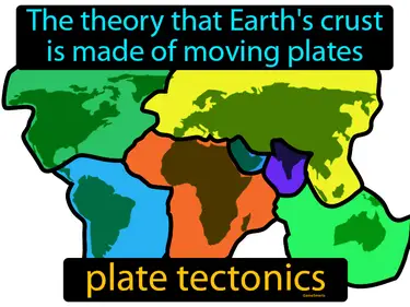 The History of Life