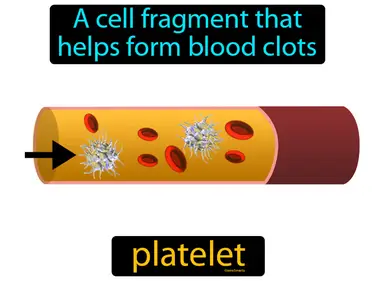 a cell fragment that helps form blood clots