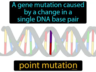 a gene mutation caused by a change in a single DNA base pair